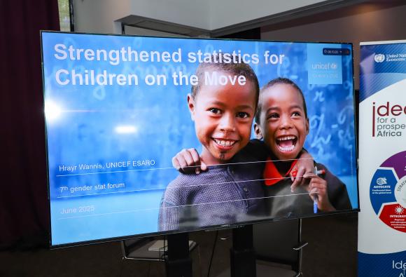 7th Africa Gender Statistics Forum - Pictures from Day 4