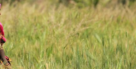 Advancing gender responsive land governance and women’s land tenure security 