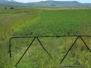 MEDIA ADVISORY - Conference on Land Policy in Africa 2025