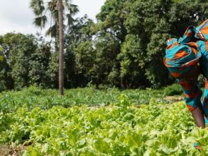 UN forum affirms stronger commitment to achieve sustainable development