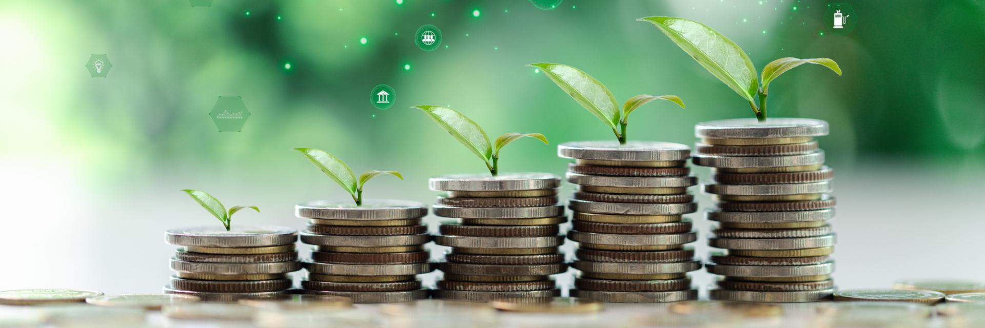 Cabo Verde launches financial strategy to secure climate investment