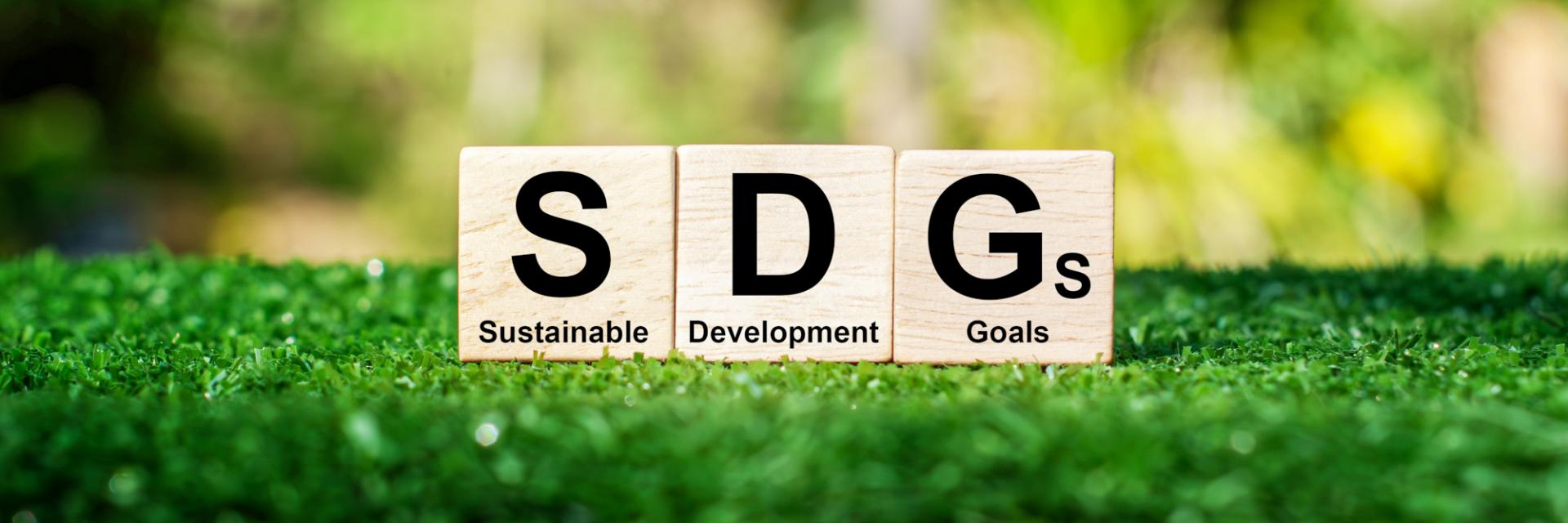 Accelerated Implementation of AfCFTA Agreement: Driving sustainable development and economic transformation in Southern and Eastern Africa Regions