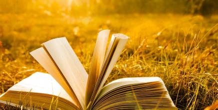 Deadline extended for Call for Short Stories on Land Governance