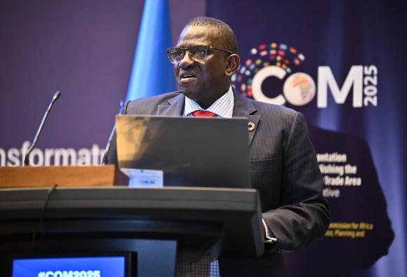 Présentation du rapport de la CEA à paraître sur l’optimisation des régimes fiscaux liés aux technologies de l’information et des communications au service de la croissance économique et de la création d’emplois en Afrique