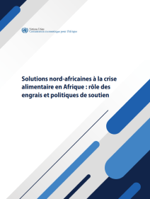 Solutions nord-africaines à la crise alimentaire en Afrique : rôle des engrais et politiques de soutien