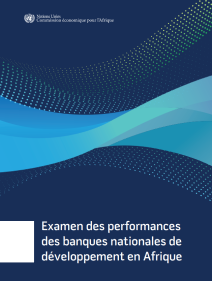 Examen des performances des banques nationales de développement en Afrique
