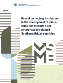 Role of technology incubators in the development of micro-, small and medium-sized enterprises in selected Southern African countries
